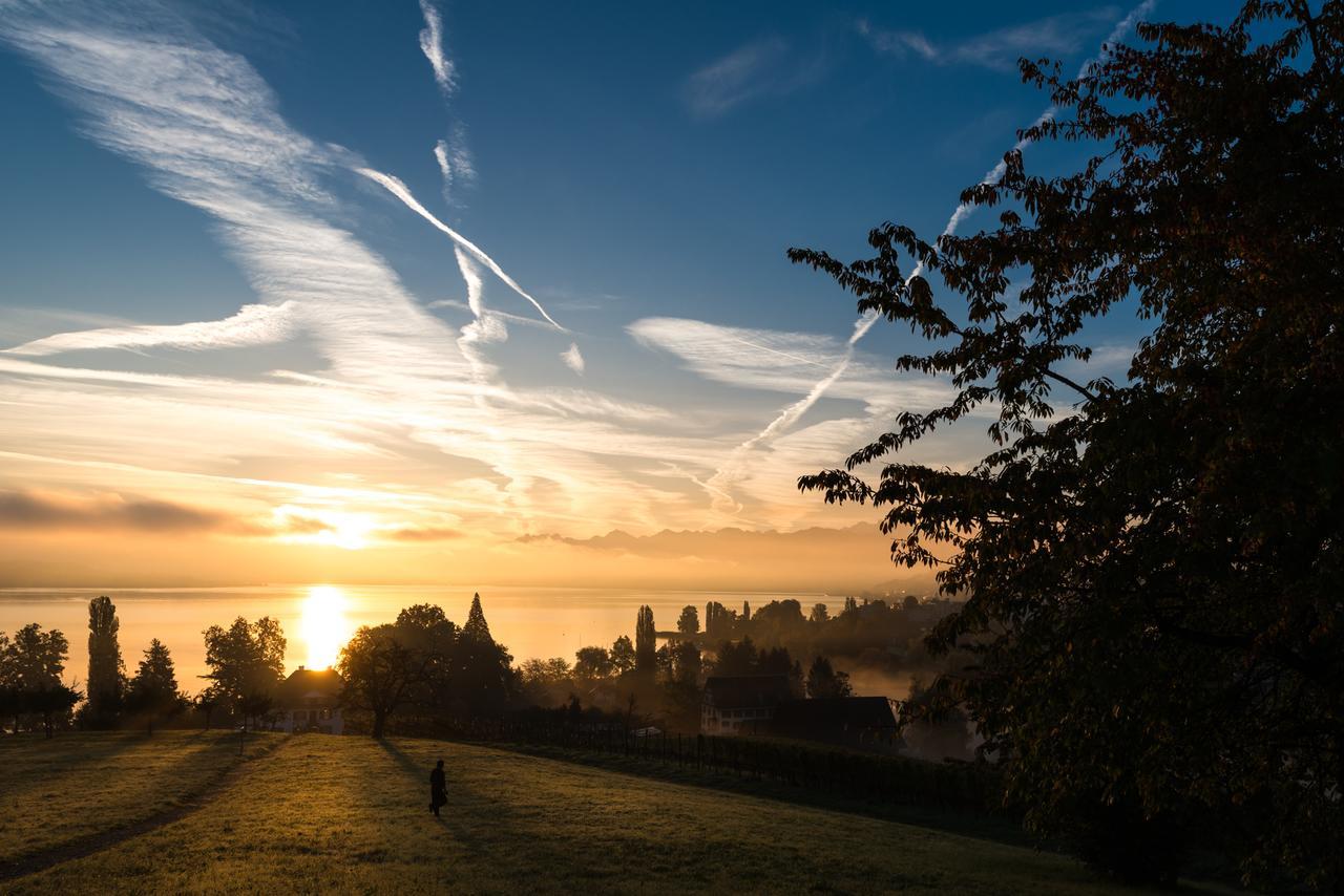 Landgasthof Halbinsel Au Wädenswil Esterno foto