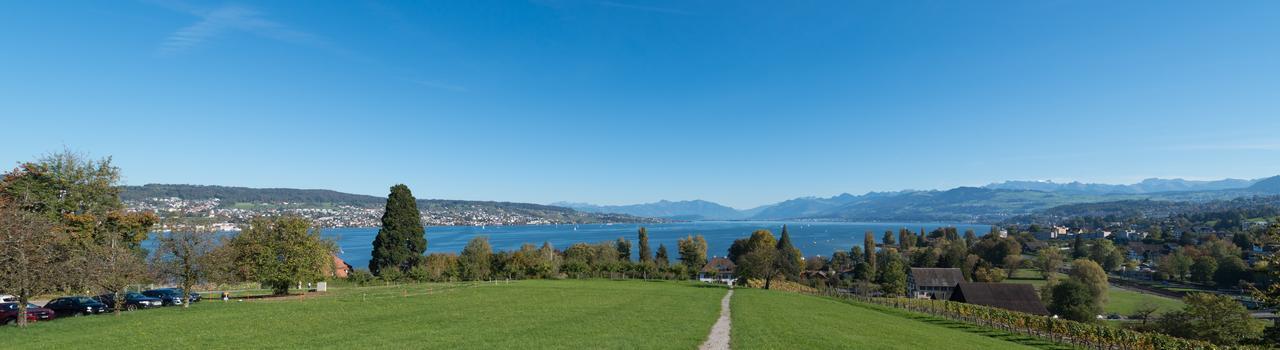 Landgasthof Halbinsel Au Wädenswil Esterno foto
