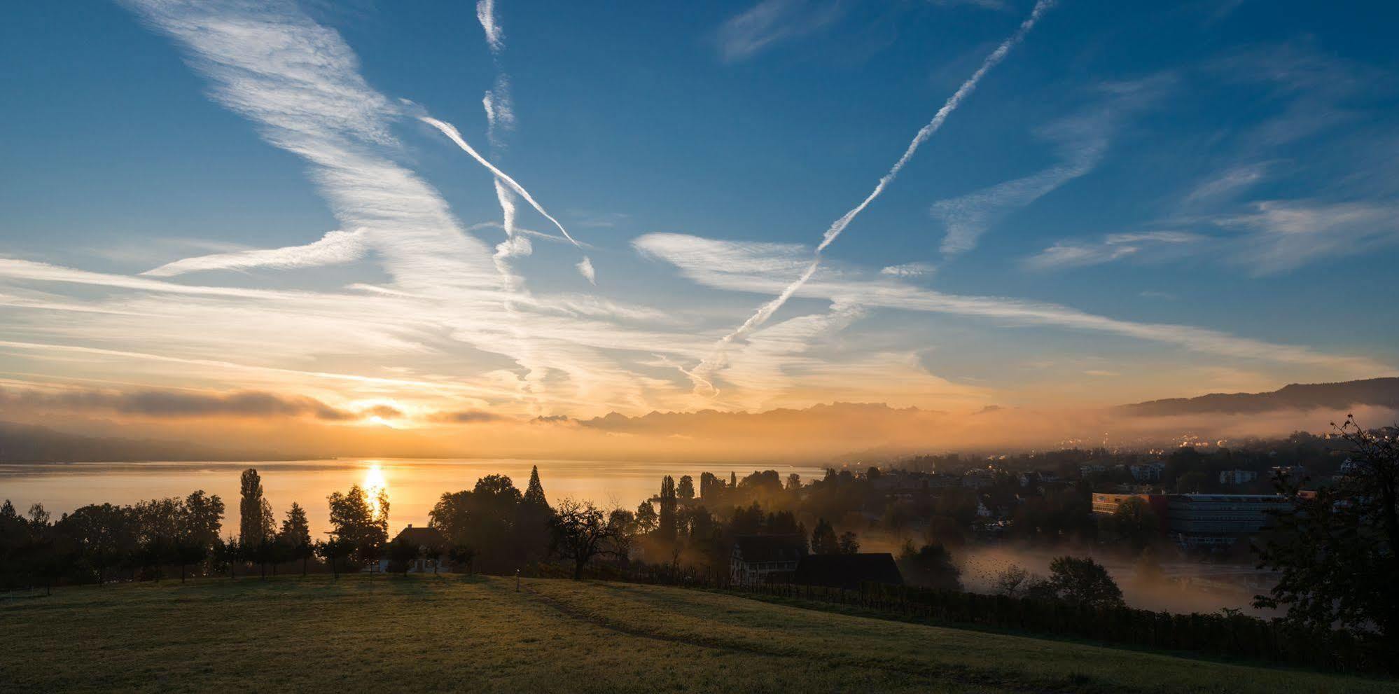 Hotel Landgasthof Halbinsel Au Wädenswil Esterno foto