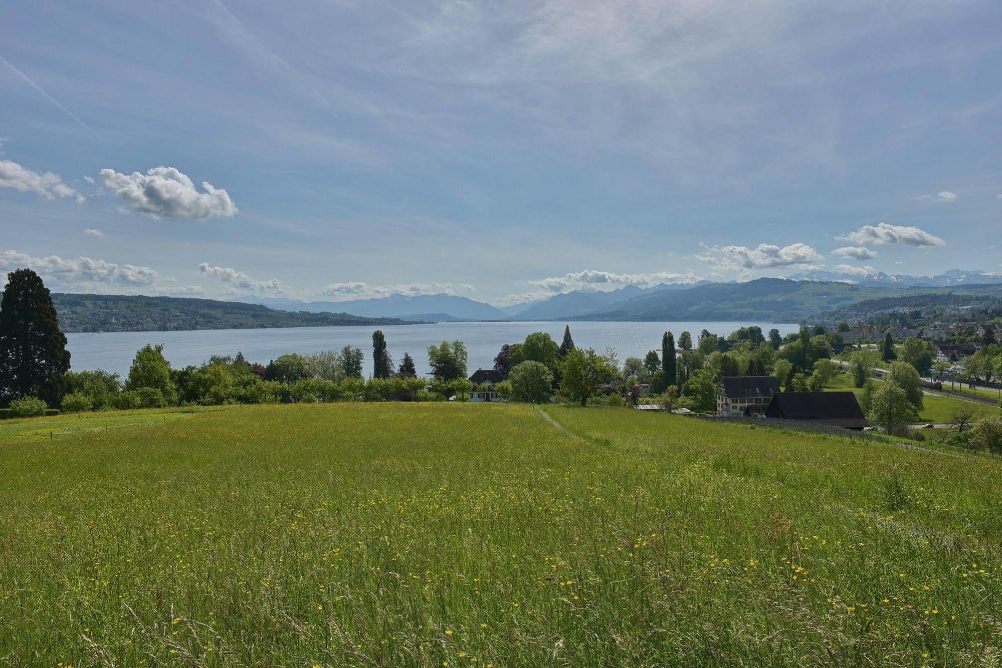 Landgasthof Halbinsel Au Wädenswil Esterno foto